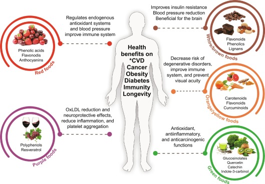  The Importance of Micronutrients (Micros)

Phytonutrients and Antioxidants

aayushii.com