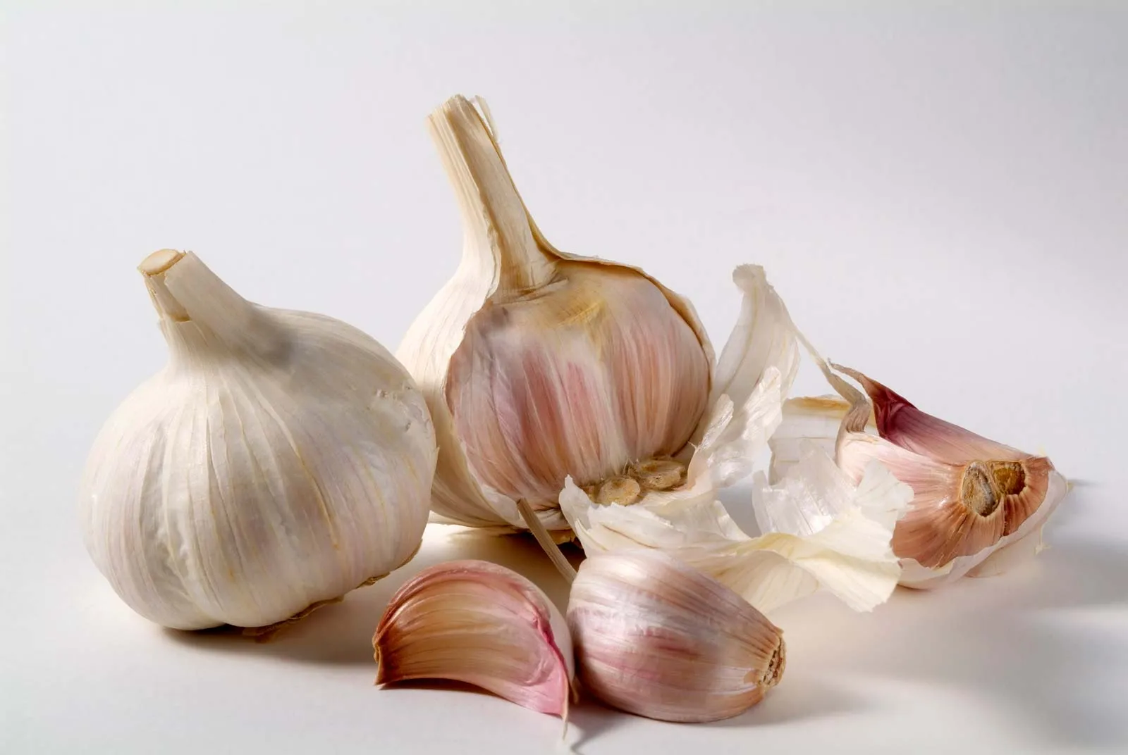 Garlic (Allium sativum)

aayushii.com