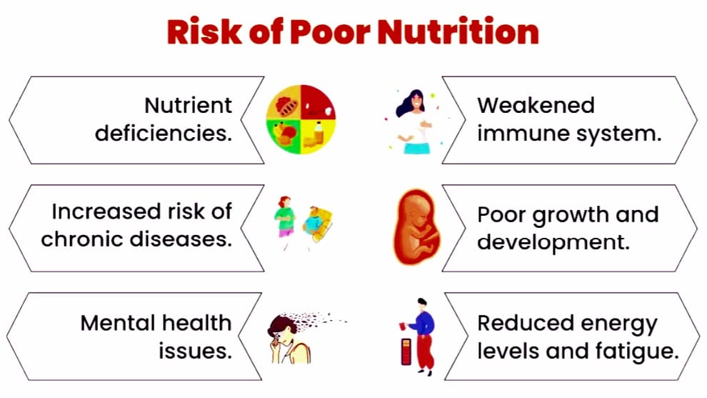 Why Is Balanced Nutrition Important?

The Risks of Poor Nutrition

aayushii.com