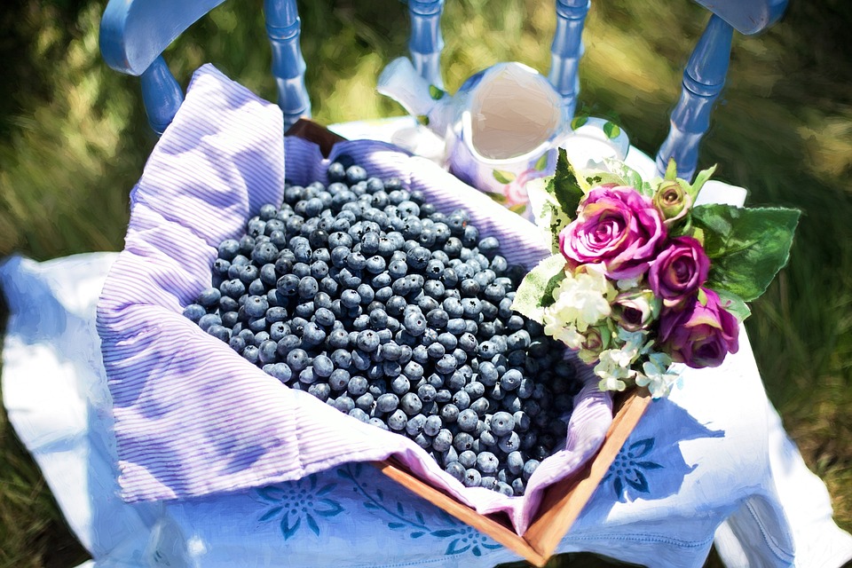 Blueberries: Nature’s Antioxidant Powerhouse

aayushii.com