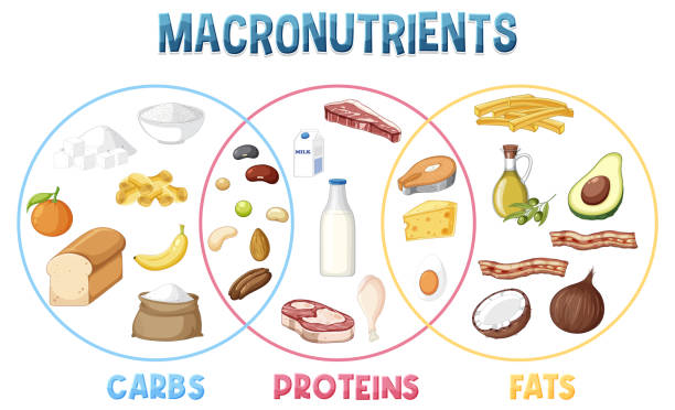 The Role of Macronutrients (Macros)

aayushii.com