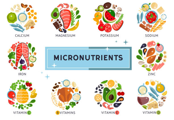 The Importance of Micronutrients (Micros)

aayushii.com