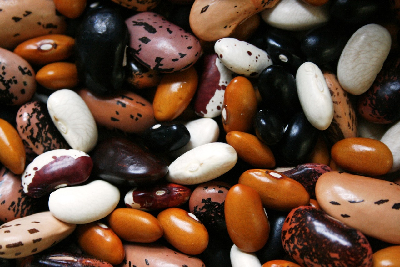 Beans and Legumes (e.g., Black Beans, Kidney Beans, Chickpeas, Lentils)

aayushii.com