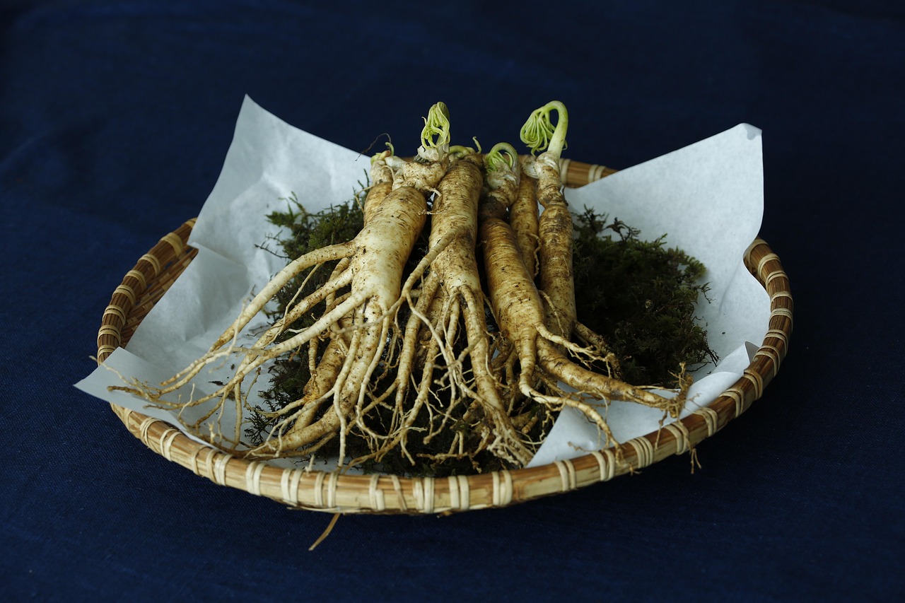 Ginseng (Panax ginseng)