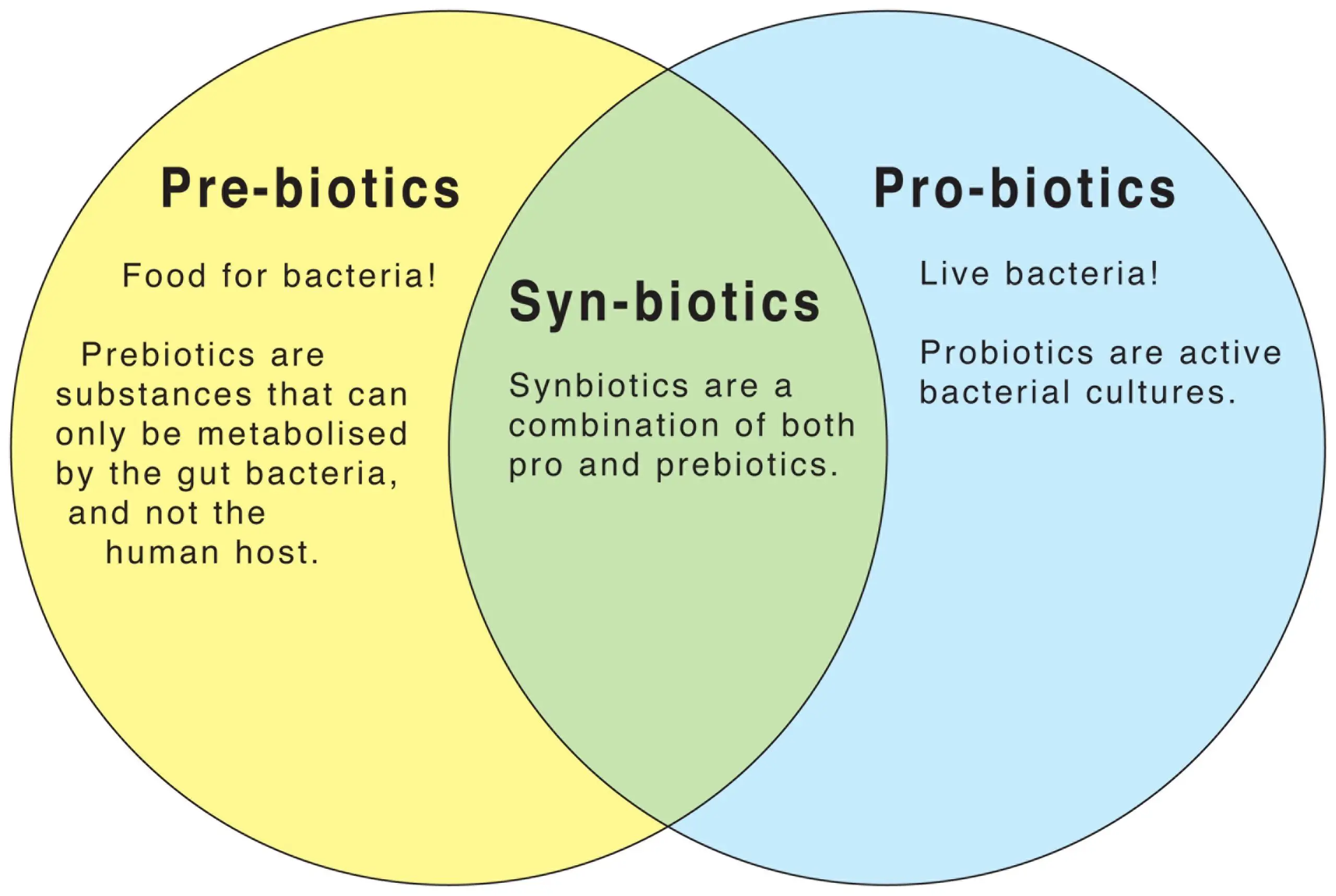 The Synergy of Probiotics and Prebiotics: Synbiotics

aayushii.com