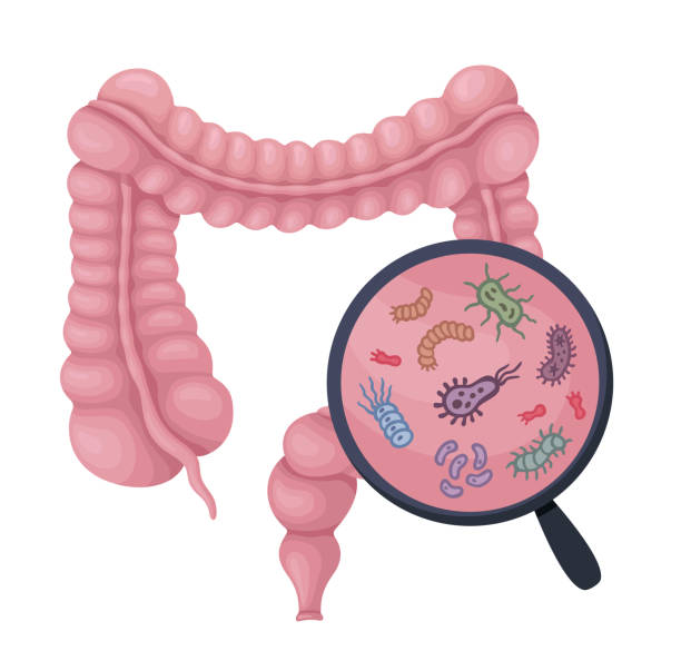 Understanding the Gut Microbiome

aayushii.com