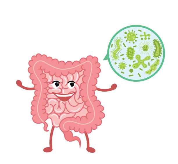 What Are Probiotics

aayushii.com