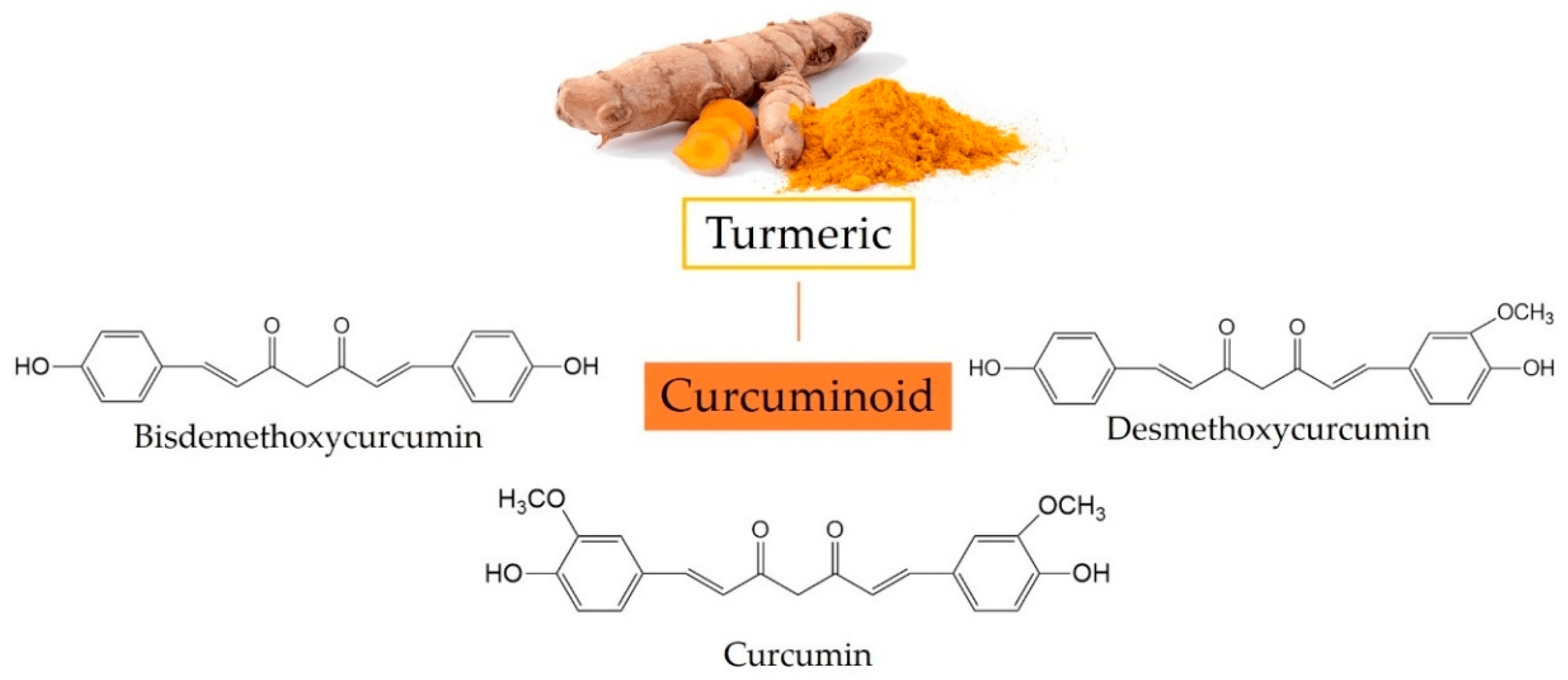 The Science Behind Turmeric’s Anti-Inflammatory Properties

aayushii.com