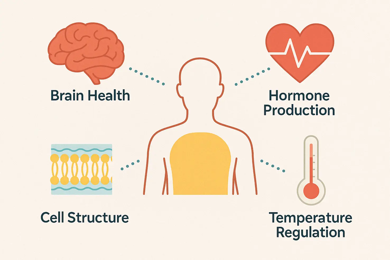 Why Do We Need Fats?