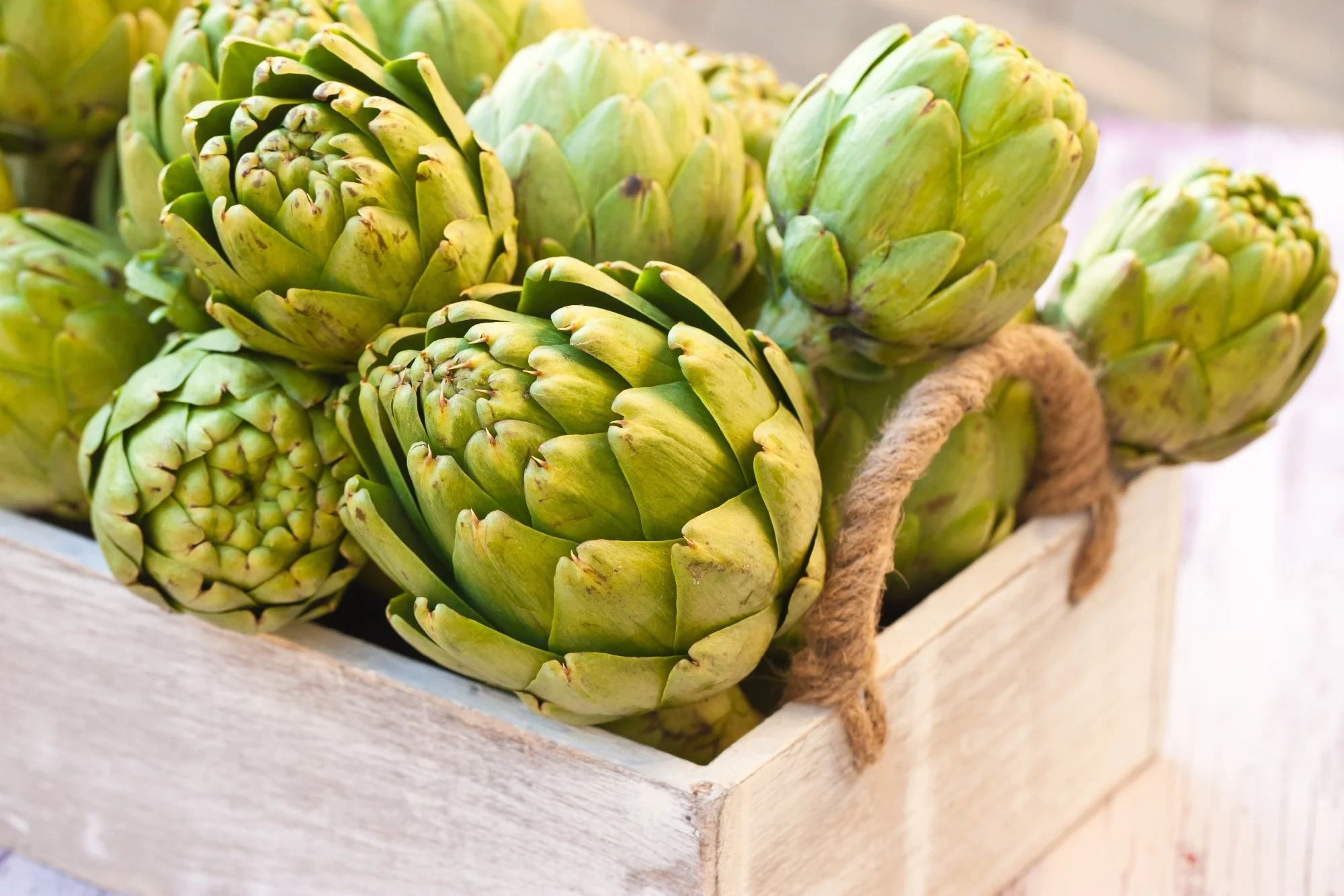 artichoke leaf