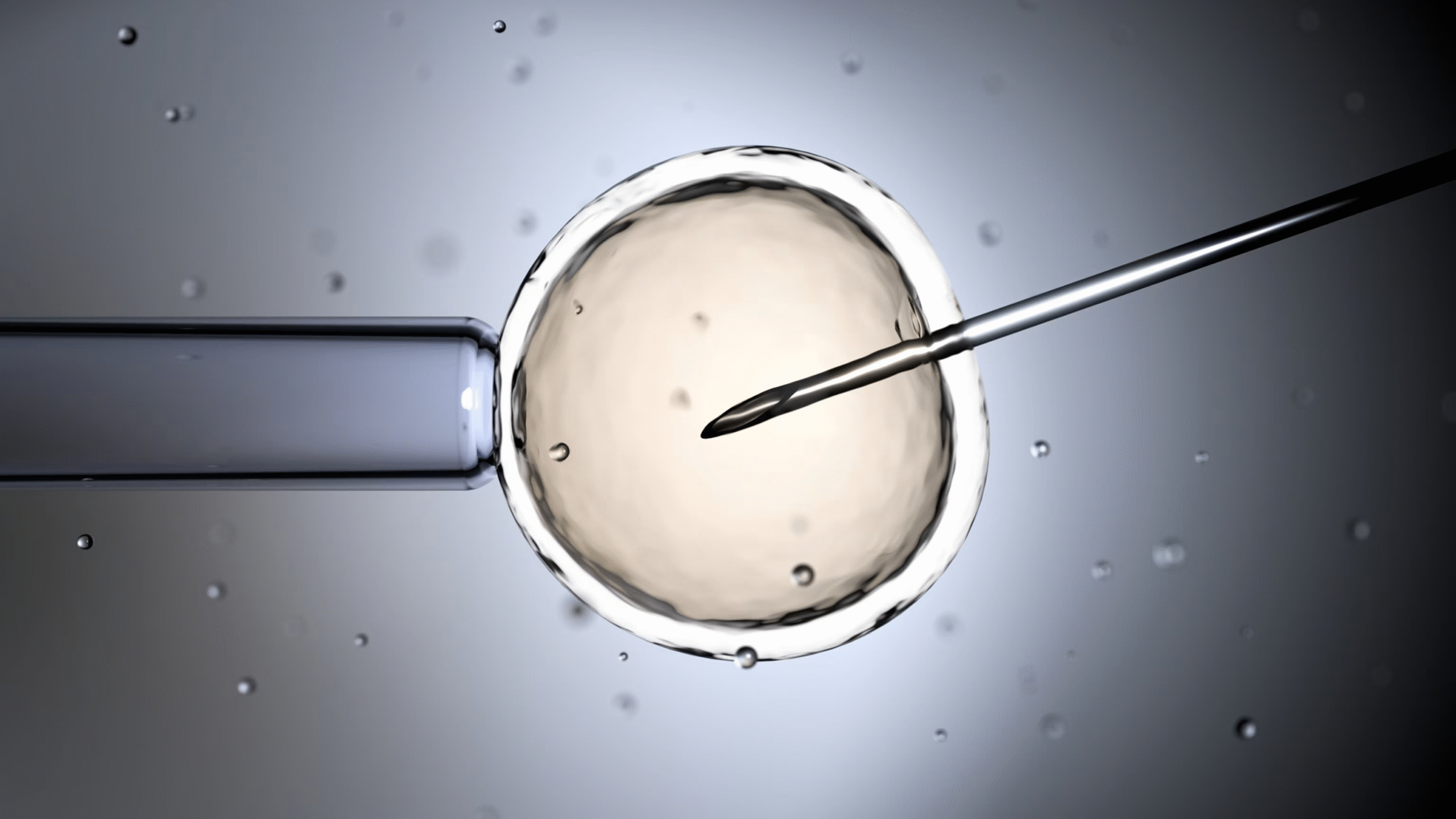 Fertility Treatments